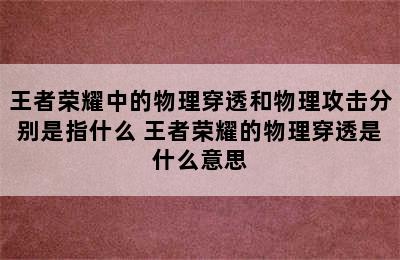 王者荣耀中的物理穿透和物理攻击分别是指什么 王者荣耀的物理穿透是什么意思